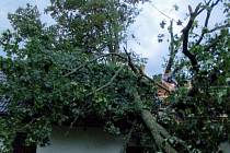 V bouřce spadl strom na střechu i do cesty vlaku
