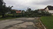 Popadané stromy na návsi v Bošilci ztrhly elektrické vedení. Část obce je bez elektřiny.