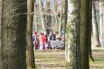 Českobudějovický park Stromovka je domovem desítek ptačích druhů. Konají se sem i ornitologické vycházky.