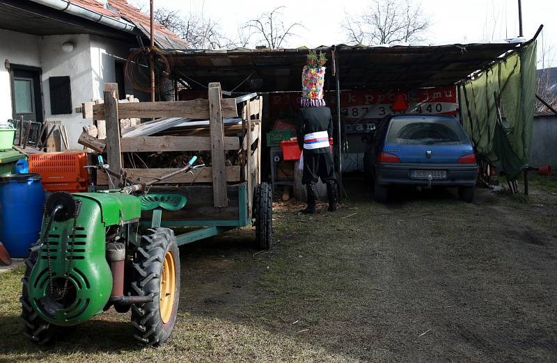 V jižních Čechách začaly 15. února lidové veselice před začátkem postního období. Na snímku je jeden z prvních vesnických karnevalů - růžičková masopustní koleda v Nesměni na Českobudějovicku.  