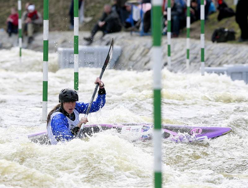 Český pohár vodních slalomářů, nominační závod vodních slalomářů o účast na olympijských hrách v Londýně 21. dubna v areálu Lídy Polesné v Českém Vrbném u Českých Budějovic.