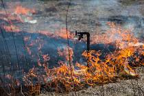 S rostoucími teplotami se na jaře množí případy vypalování trávy. Plošné vypalování trávy je zákonem zakázané. I kvůli silnému větru může pak jednoduše dojít k dalšímu rychlému šíření požáru. Ilustrační foto.