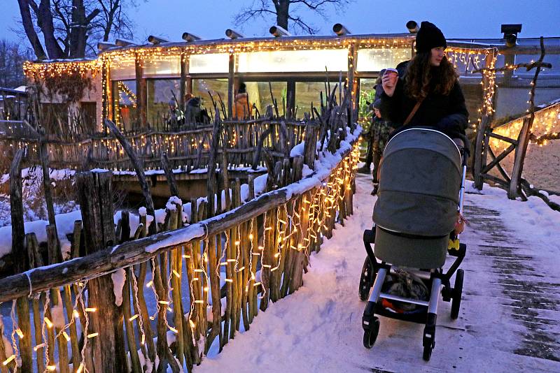 Vánočně nasvícená Zoo Ohrada v Hluboké nad Vltavou.