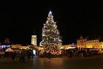 Vánoční strom v Budějovicích z roku 2021.