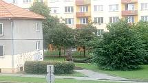 V Budějovicích řádil vítr, vyvrátil strom i v Čéčově ulici.