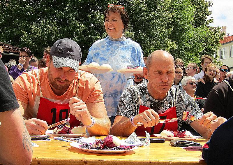 V Borovanech u Českých Budějovic se od 9. do 10. července uskutečnil rodinný festival Borůvkobraní. Po dvouleté přestávce se na pestrý program vrátila i soutěž o největšího jedlíka borůvkových knedlíků.