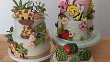 Vladimíra Novotná nechce, aby její dorty byly jen krásné, ale aby byly i chutné a dělané z kvalitních surovin, které budou dohromady fungovat.