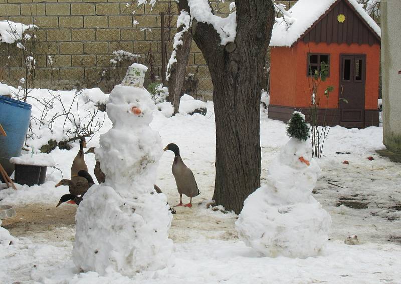 V Kamenném Újezdu díky soutěži přibylo několik desítek sněhových obyvatel.