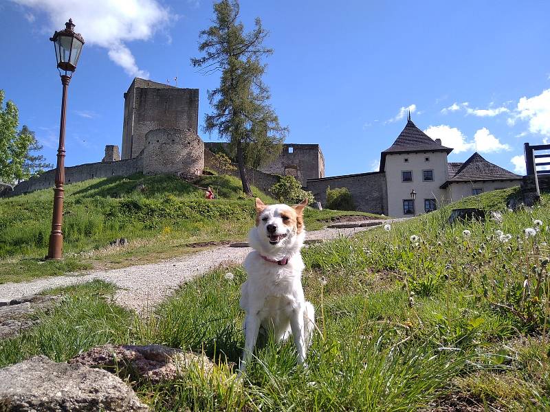 Hrad Landštejn své brány otevřel už 11. května, k výletům láká hlavně za pěkného počasí.