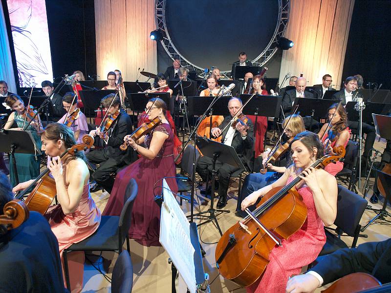 Na Květinovém jihočeském plese vystoupily Petra Janů, kapela The Tap Tap, Corvertrio+ a Jihočeská filharmonie.