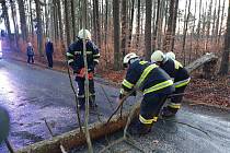 Hasiči zasahovali u popadaných stromů přes cestu v Dolním Bukovsku.