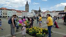 Akce organizace Roska Rozsviťme Budějovice