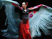 ŽHAVÉ A ENRGICKÉ. Manuela Reyes (na snímku) zatančí ve čtvrtek a v pátek v Českých Budějovicích pravé andaluské flamenco.
