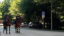 Policisté dohlíželi na příchod slavistických fanoušků na českobudějovický Střelecký ostrov.