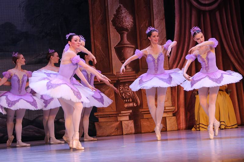 Šípkovou Růženku na hudbu P. I. Čajkovského v Metropolu uvedl St. Petersburg Festival Ballet.