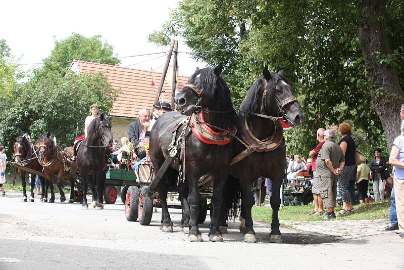 Baráčníci z Boršova letos pozvali na dožínky 16 povozů s koňmi. Ty se sem sjeli z celých jižních Čech a vyšperkovali tak tradiční vesnickou slavnost.