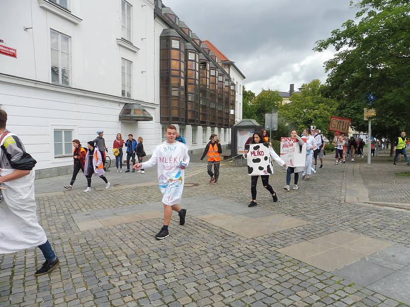 Českobudějovický majáles 2020. Studenti v maskách tentokrát v menším množství prošli městem. Veselí byli i tentokrát.