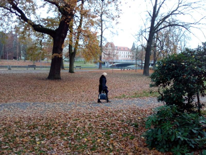 Radnice chystá revitalizaci parku v Dukelské ulici v Českých Budějovicích. Na snímku současná podoba.