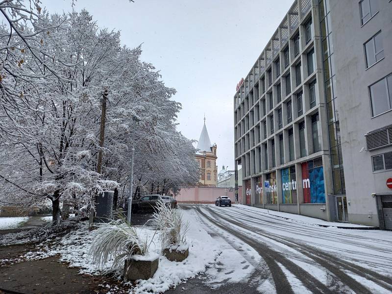 Budějovice v noci zasypal první sníh této zimy.