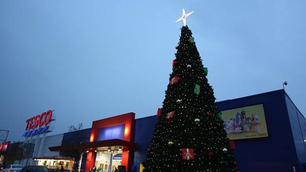 Vánoční stromky se před některými českobudějovickými obchodními domy rozsvítily už minulý týden.