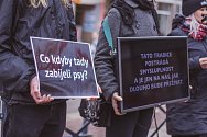 V Českých Budějovicích se konal 21. 12. 2019 protest proti zabíjení kaprů. Akci uspořádal spolek Společný svět. Foto: Lucie Procházková