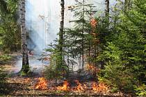 Lesní požáry. Ilustrační snímek