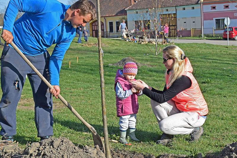 Sázení alejí svobody v Dřítni - Malešice. V sobotu 14. dubna 2018.