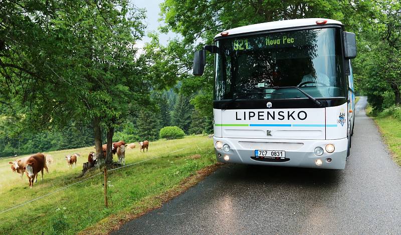 Turisty i místní svezou v létě na pravém břehu Lipna dotované cyklobusy.