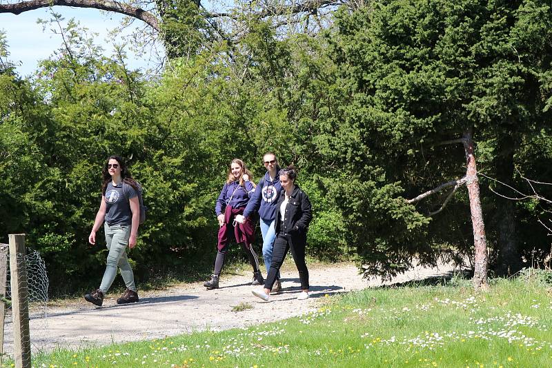 Navzdory chladnému ránu lákalo sluníčko přes den Jihočechy na výlet. Návštěvníci Zámecké zahrady v Hluboké nad Vltavou využili nádherného počasí k procházkám a návštěvě výstavy.