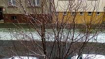 V Českých Budějovicích nasněžilo.