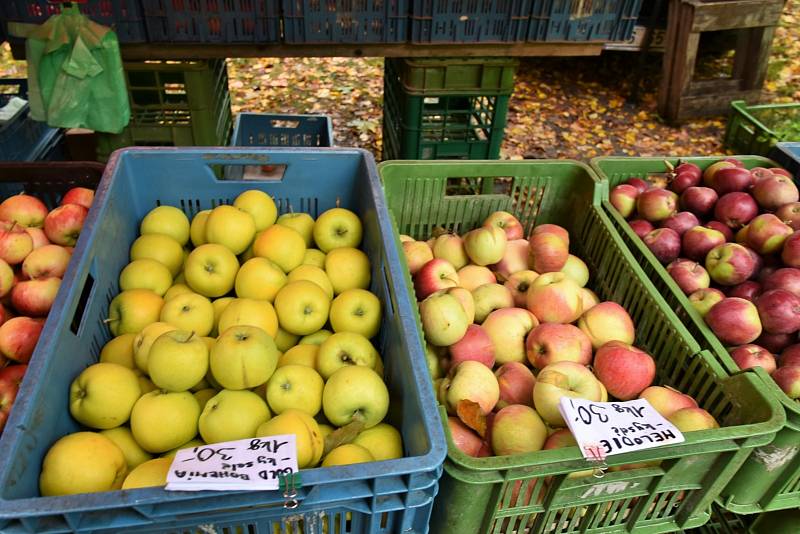 Farmářské trhy mohli lidé navštívit v Bedřichových sadech v Týně nad Vltavou.