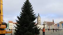 Vánoční strom pro České Budějovice.