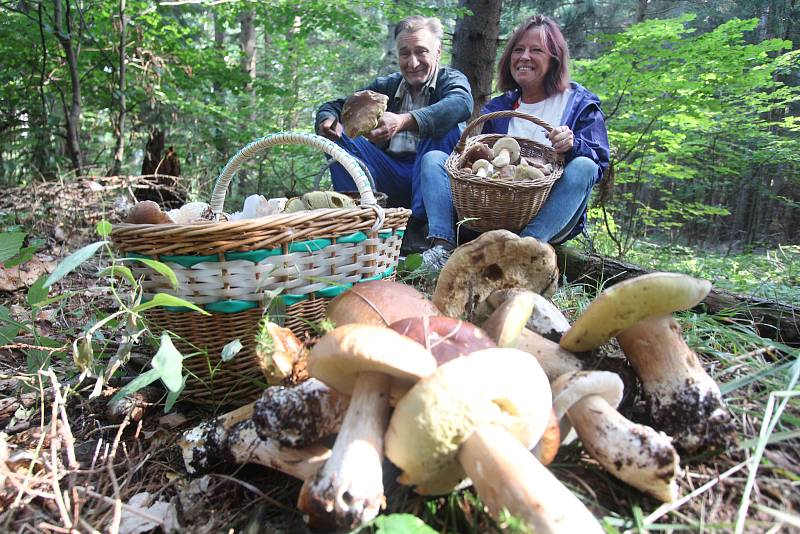 Jiří Moudrý a Monika Chodorová kteří našli desítky milovaných hub v průběhu dvou hodin v lesích pod Kletí.