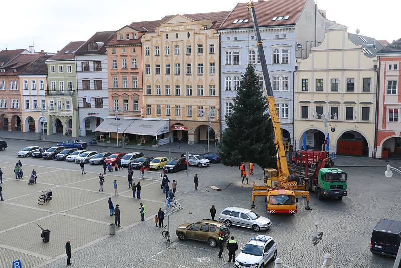 Vánoční strom pro České Budějovice.