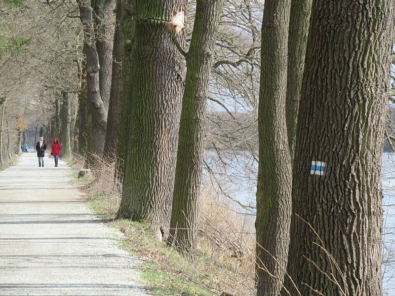 Přírodní rezervace leží na severozápadním okraji Českých Budějovic a má rozlohu 245,8 ha. Zahrnuje čtyři rybníky, mokřady a louky. Vyznačuje se bohatou a unikátní faunou i flórou.