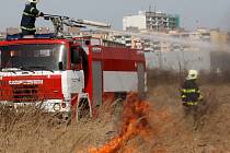 Tragické následky může mít plošné vypalování porostů, ale také spalování shrabaného listí či různých odpadů.