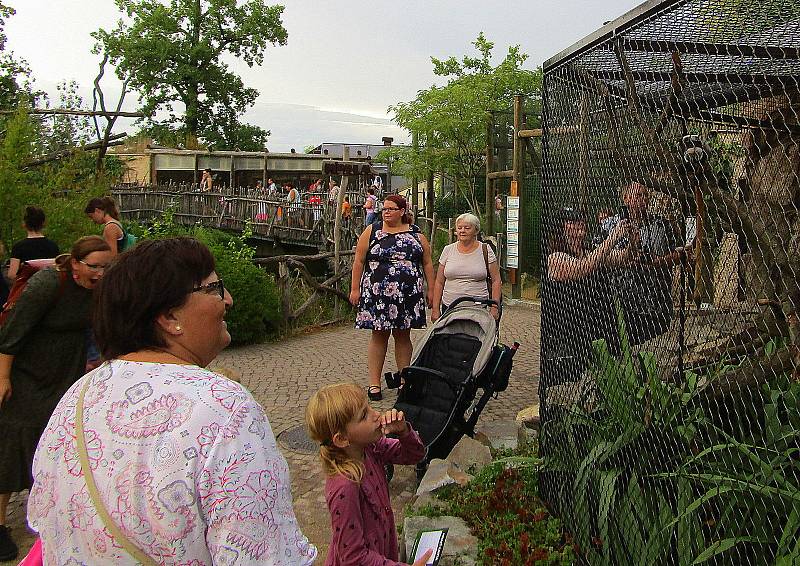 Večerní pohádková zoo přilákala desítky návštěvníků.