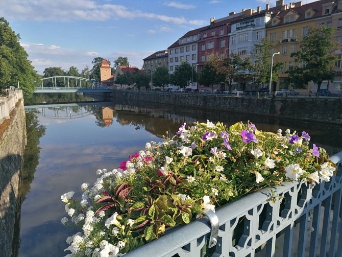 České Budějovice se chystají na léto. Květinami, koupacím molem i mlžítky pro osvěžení.