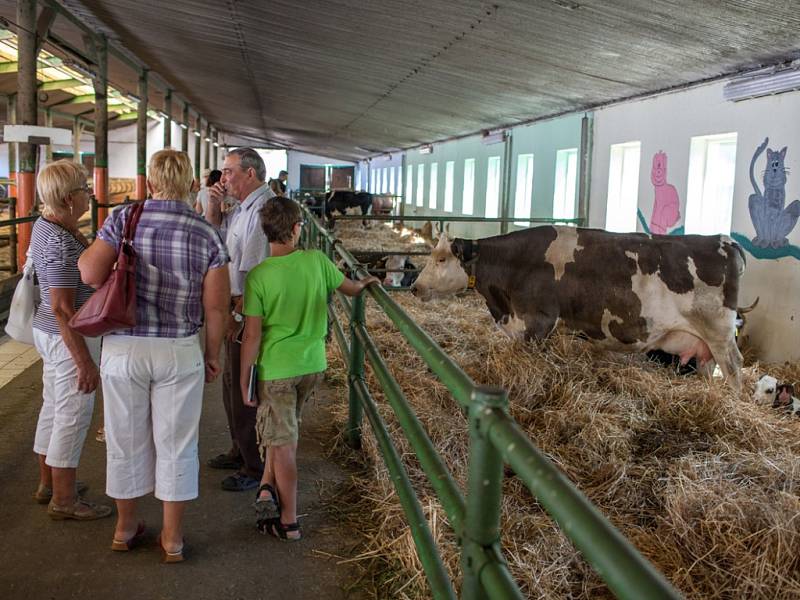 Farmářské slavnosti v Meziříčí u Malont.