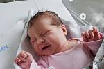 Stela Příborská z Čimelic.  Prvorozená dcera Jany a Davida Příborských se narodila 8. 4. 2022 ve 2.38 hodin. Při narození vážila 3350 g a měřila 51 cm.