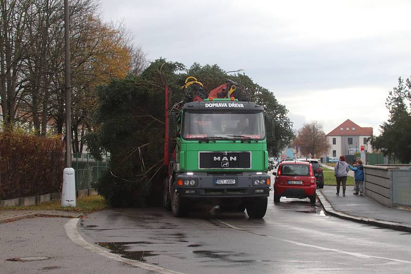 Vánoční strom pro České Budějovice již dorazil na náměstí.