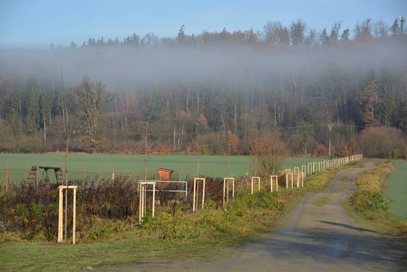 Ve středu se v Hluboké nad Vltavou uskutečnilo slavnostní otevření projektu "Výsadba dřevin Pod Pilou - Barokní kříž v lokalitě na Křesíně. Toho se účastnily i děti zde zdejší mateřské školy.