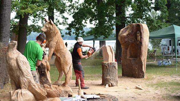 Hotové vyřezané sochy budou rozmístěné v areálu zoo, jako jsou již rozmístěné sochy z minulých ročníků.