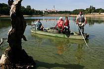 Na rybníku Jordán v Táboře začal výlov ryb. Nádrž se vypouští kvůli odbahnění, voda je v ní nepřetržitě 183 let. Jordán je nejstarší nádrží ve střední Evropě.