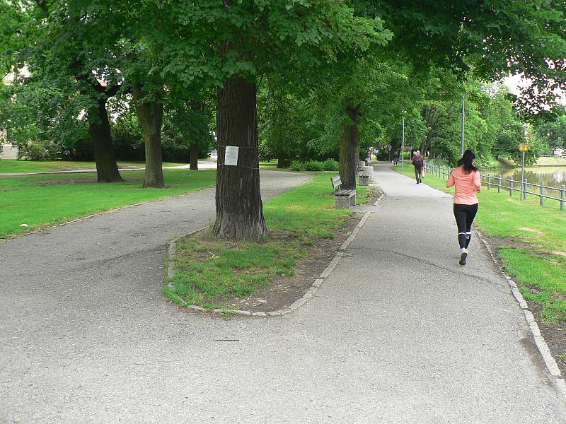 Park v budějovické Dukelské ulici. Radnice chce uspořádat v roce 2019 soutěž a najít možnou novou podobu lokality.