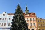 Vánoční strom v Jindřichově Hradci.