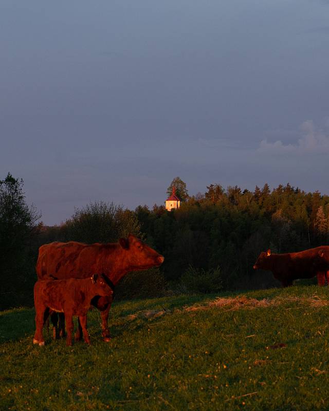 Rožmberské fotografie z výletu travel influencerů v rámci partnerského tripu organizovaného Turistickým spolkem Lipenska s cestovatelskou platformou Worldee.