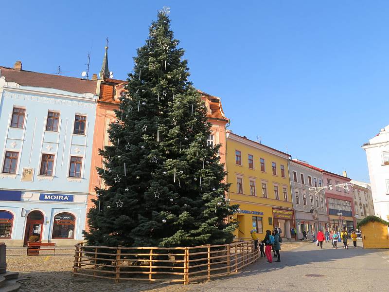 Vánoční strom v Jindřichově Hradci.