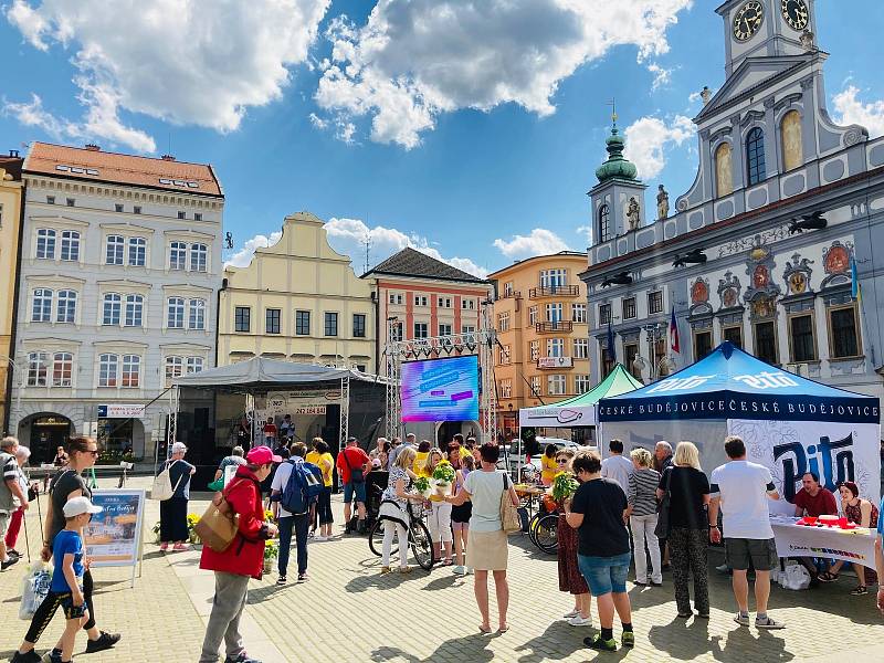 Akce organizace Roska Rozsviťme Budějovice