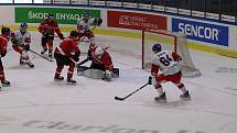 Euro Hockey Challenge ČR - Rakousko v Jindřichově Hradci